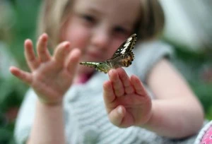 Kew Gardens Launch Their Summer Exhibition With Giant Bugs And Beasties