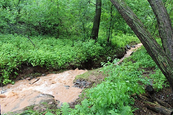 parkflood