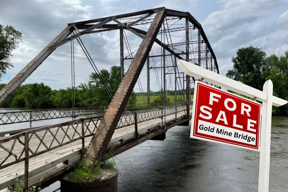 You Can Buy This Rare 120-Year-Old Minnesota Bridge for $1, But There’s a Catch