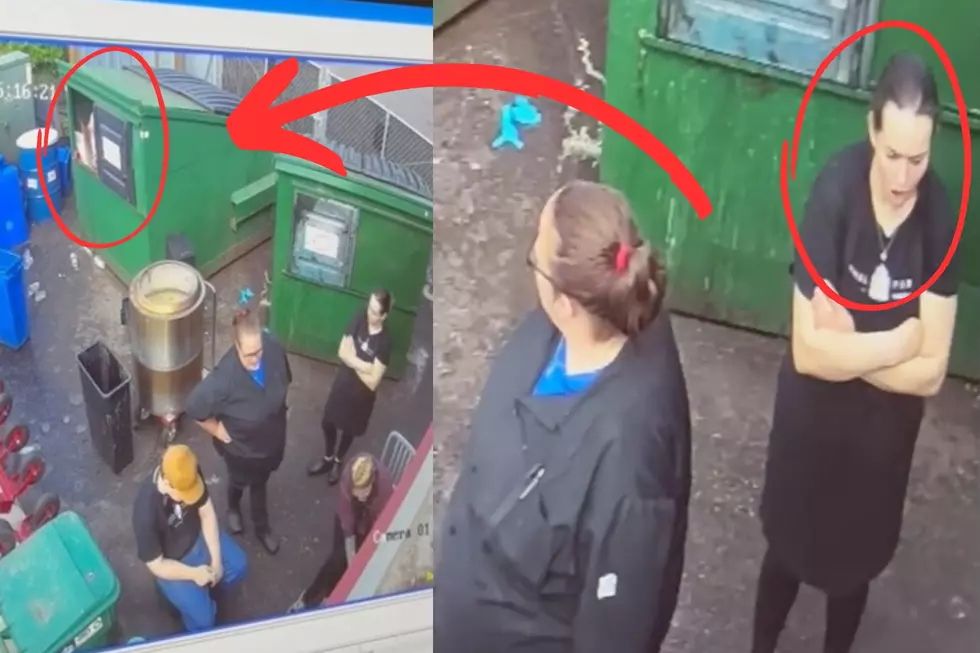WATCH: Minnesota Restaurant Employees Surprised By What Crawls Out Of Their Dumpster